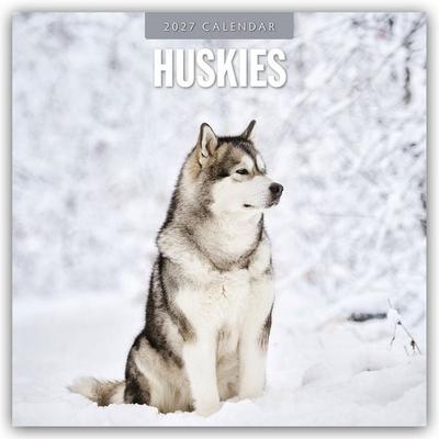 Huskies – Husky – Huskys 2027 – 16-Monatskalender