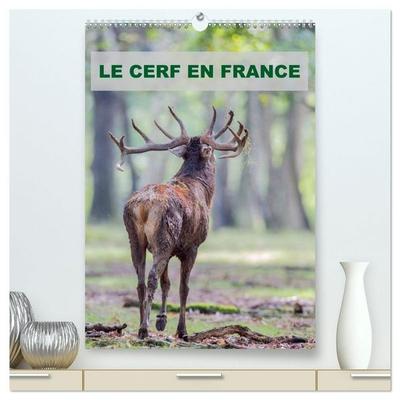 LE CERF EN FRANCE (Calendrier mural haut de gamme 2027 DIN A2 horizontal), CALVENDO calendrier mensuel