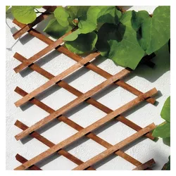 Bellissa, Schere, Holz-Scherenspalier