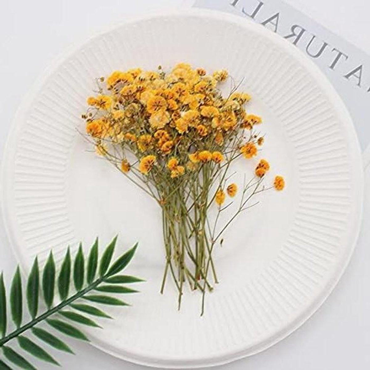 Gedroogde Gipskruid Bloemen - Mini Bloemen Boeket voor Huis Decoratie - Natuurlijke Gedroogde Planten - Oranje - Lengte: 5-9 cm