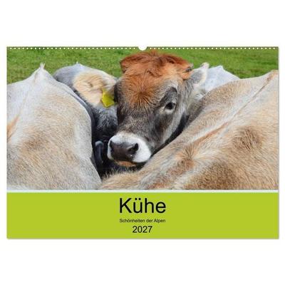 Kühe - Schönheiten der Alpen (Wandkalender 2027 DIN A2 quer), CALVENDO Monatskalender
