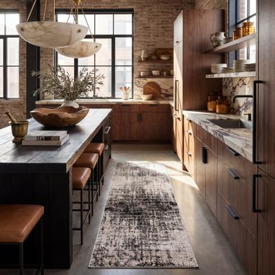 SAFAVIEH Adirondack Lida Modern Abstract Distressed Rug
