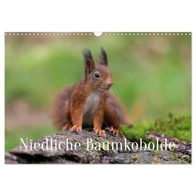 Niedliche Baumkobolde (Wandkalender 2027 DIN A3 quer), CALVENDO Monatskalender