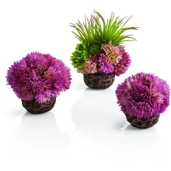 biOrb Korallenball Set lila