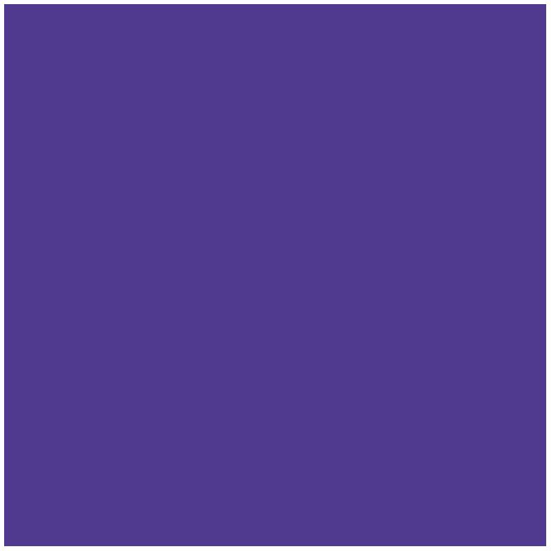 folia Fotokarton violett 300 g/qm 50 St.