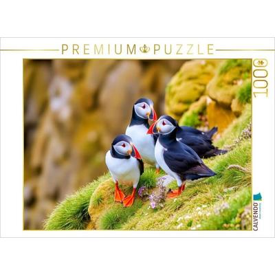 CALVENDO Puzzle Ein Motiv aus dem Kalender Tieftaucher Papageitaucher | 1000 Teile Lege-Größe 64x48cm Foto-Puzzle für glückliche Stunden, Sonstige von