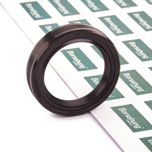 Borsehung B19241 Crankshaft seal
