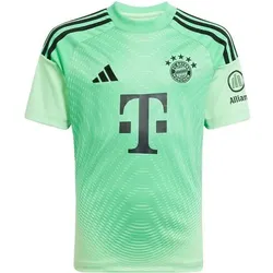 ADIDAS Kinder Trikot FC Bayern München 25/26, Größe 176 in Grün Grün