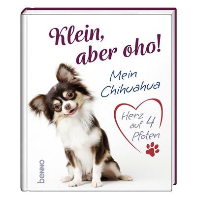 Klein, aber oho!, Gebundene Ausgabe von , St. Benno, 978-3-7462-6723-4