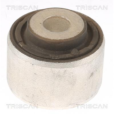 TRISCAN Lagerung, Lenker 850081808 für Tesla