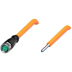 Pepperl+Fuchs Fabrik Kabeldose V31-GM-OR5M-PUR-A1