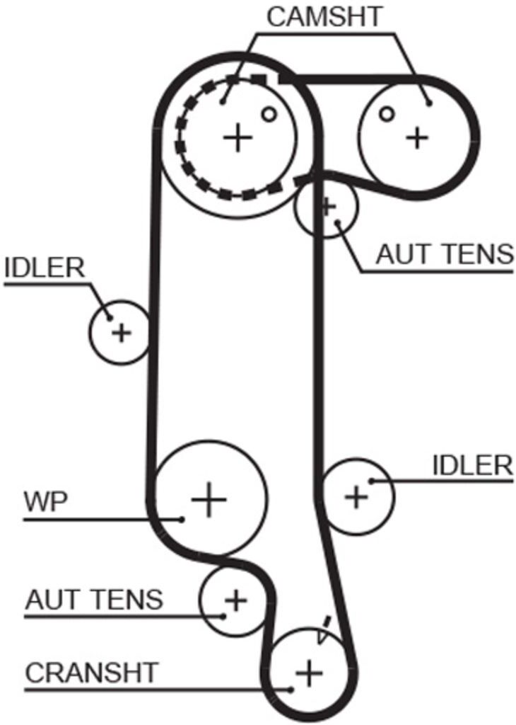 Zahnriemen GATES 5565XS