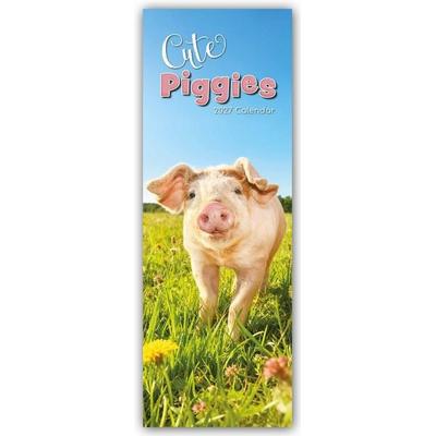 Cute Piggies – Süße kleine Schweinchen – Slimline-Kalender 2027