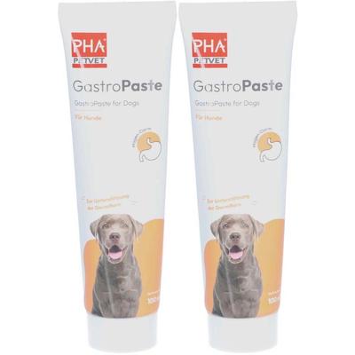 PetVet PHA GastroPaste für Hunde Doppelpack 2x100 ml Paste