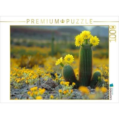 CALVENDO Puzzle Gelb blühende Kakteen | 1000 Teile Lege-Größe 64x48cm Foto-Puzzle für glückliche Stunden
