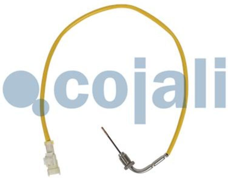 Sensor, Abgastemperatur COJALI 2262019