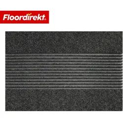 Floordirekt Schmutzfangmatte   Circa   Anthrazit Streifen