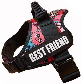 Inspired Living Personalized Adjustable Nylon Dog Vest Harness halloween Graffiti l