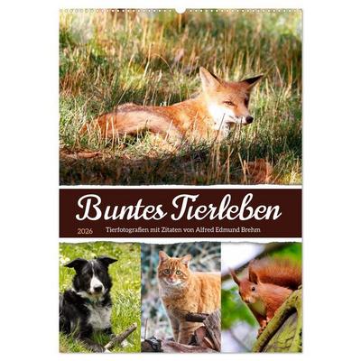 Buntes Tierleben (Wandkalender 2026 DIN A2 hoch), CALVENDO Monatskalender