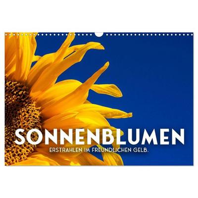 Sonnenblumen - Erstrahlen im freundlichen Gelb. (Wandkalender 2027 DIN A3 quer), CALVENDO Monatskalender