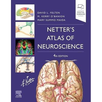 Netter's Atlas of Neuroscience, Taschenbuch von David L. Felten,Mary Summo Maida,Michael K. O'Banion; Elsevier, 978-0-323-75654-9