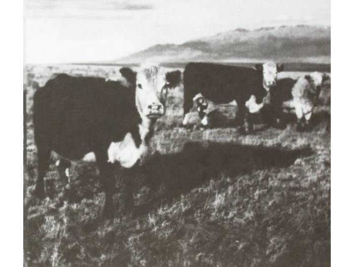 Mark Kozelek - Finally Lp