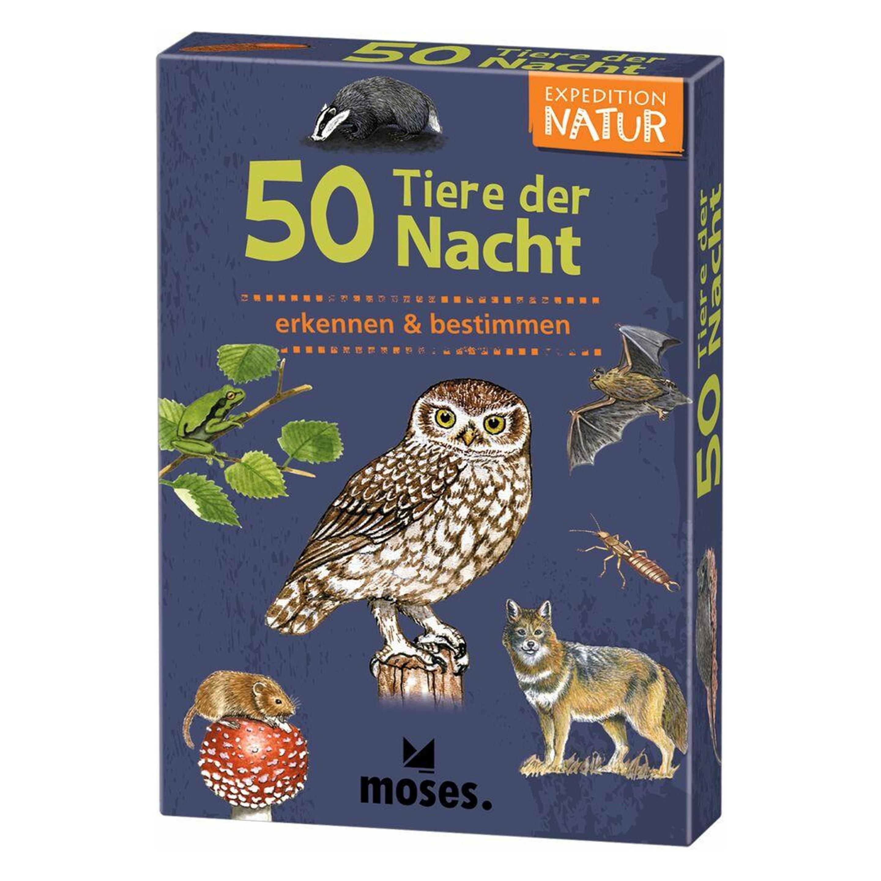 Moses Expedition Natur 50 Tiere der Nacht 6J (Deutsch) (9865)