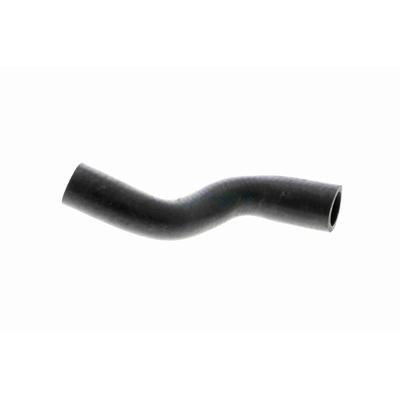 VAICO Kühlerschlauch Original Qualität v202890 oben für MINI