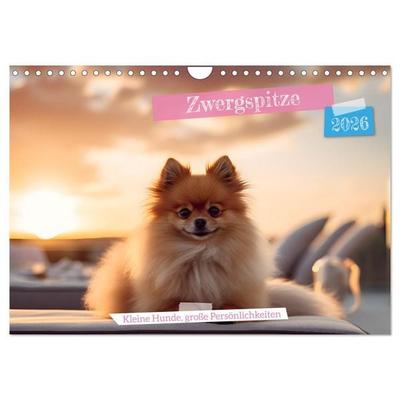 Zwergspitze - kleine Hunde, große Persönlichkeiten (Wandkalender 2026 DIN A4 quer), CALVENDO Monatskalender