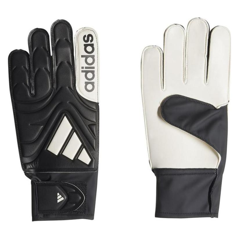 Adidas Copa Club Handschuhe (8) (JY0625)