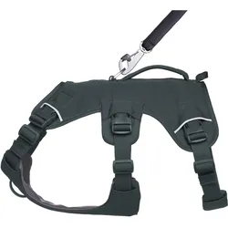 Ruffwear Web Master (Hund, Allgemein, Hundesport, Spazieren), Halsband + Leine