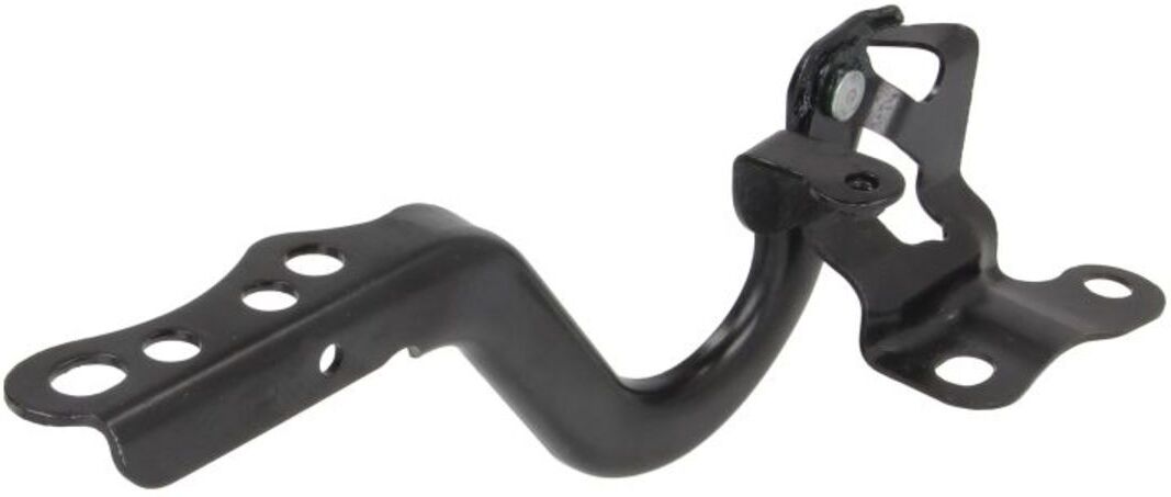 Motorhaube, Scharniere BLIC 6802-00-8156451P