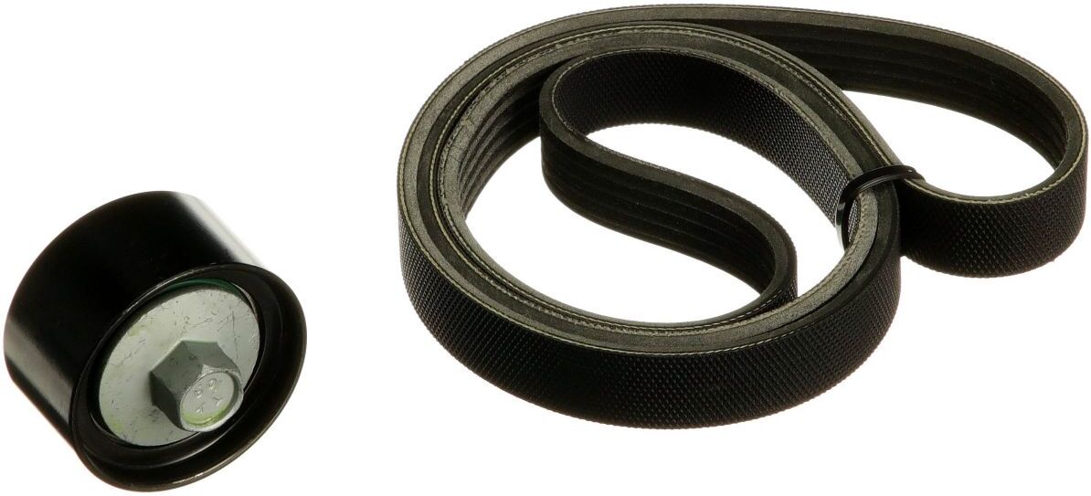 Gates Set di cinghie Poly-V K025PK1210