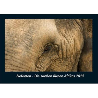 Elefanten - Die sanften Riesen Afrikas 2025 Fotokalender DIN A4