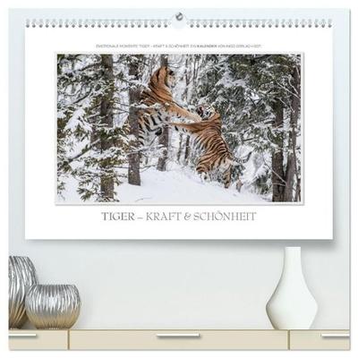 Emotionale Momente: Tiger - Kraft & Schönheit. / CH-Version (hochwertiger Premium Wandkalender 2027 DIN A2 quer), Kunstdruck in Hochglanz