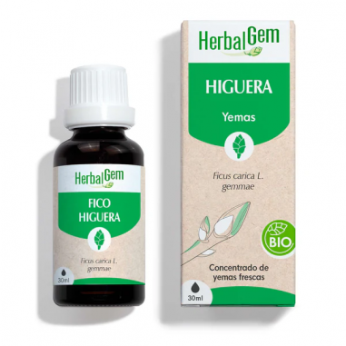 HerbalGem Fig 30 ml Bio