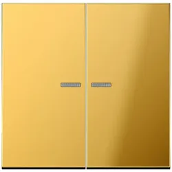 Jung Wippe Lichtleiter go GO 2995 KO5