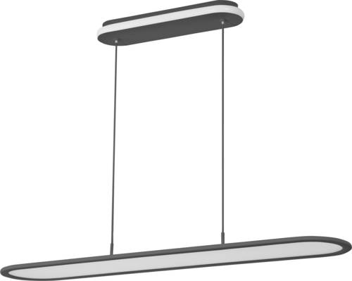 OSRAM HOMELIGHTING 4099854464874 Office Line Panel Ellipse 57W 940 Black Deckenleuchte, Pendelleuchte 57W Schwarz