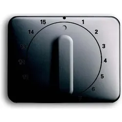 Busch-Jaeger Zentralscheibe pla 1770-20-101 2CKA001753A6075