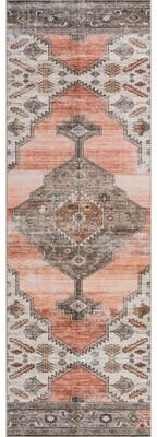 Nuloom Sia SplashGuard Vintage Southwestern Machine Washable Area Rug