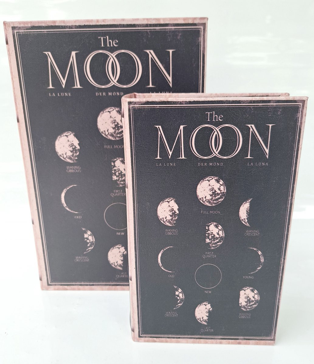 Set van 2 decoratieve opbergdozen The Moon BK138M2500