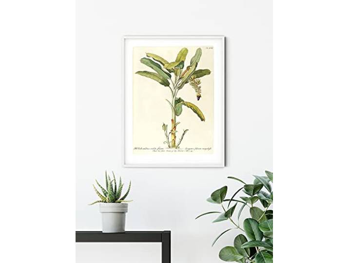 Komar Wandbild - Rainforest Sapling - Größe: 50 x 70 cm - Poster, Kunstdruck, Dekoration, Wohnzimmer, Schlafzimmer (ohne Rahmen)