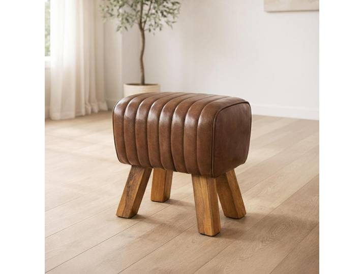 Cheval d'arçon cuir - You