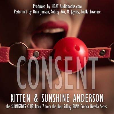 CONSENT - Kitten Anderson,Sunshine Anderson, Audio, 9781971980041