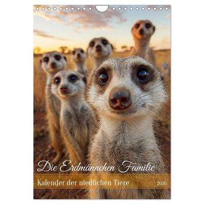 Die Erdmännchen Familie - Kalender der niedlichen Tiere (Wandkalender 2026 DIN A4 hoch), CALVENDO Monatskalender