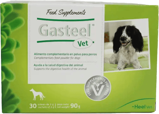 Heel Gasteel Vet 30 Sachês x 3g
