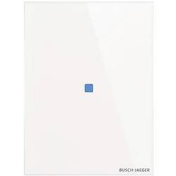 Busch-Jaeger KNX 2CKA006300A1614 Touchscreen-Modul TB/U1.2.11-CG