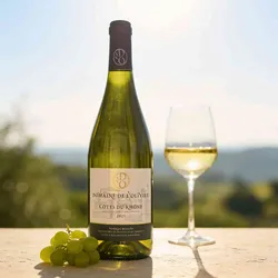 Domaine de l’Olivier 2025 Domaine de l ́Olivier Côtes du Rhône Blanc 2025 Clairette,Grenache Blanc,Roussanne,Viognier Frankreich