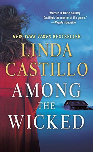Linda Castillo - Among the Wicked (Kate Burkholder Novels) - Preis vom 30.09.2026 22:30:23 h