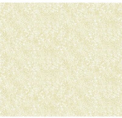 Rifle Paper Co.Champagne Dots Gold & White Wallpaper